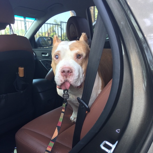 👋🏽👋🏽👋🏽 Hello, I’m Ida! Info: - Picture 5 of 6